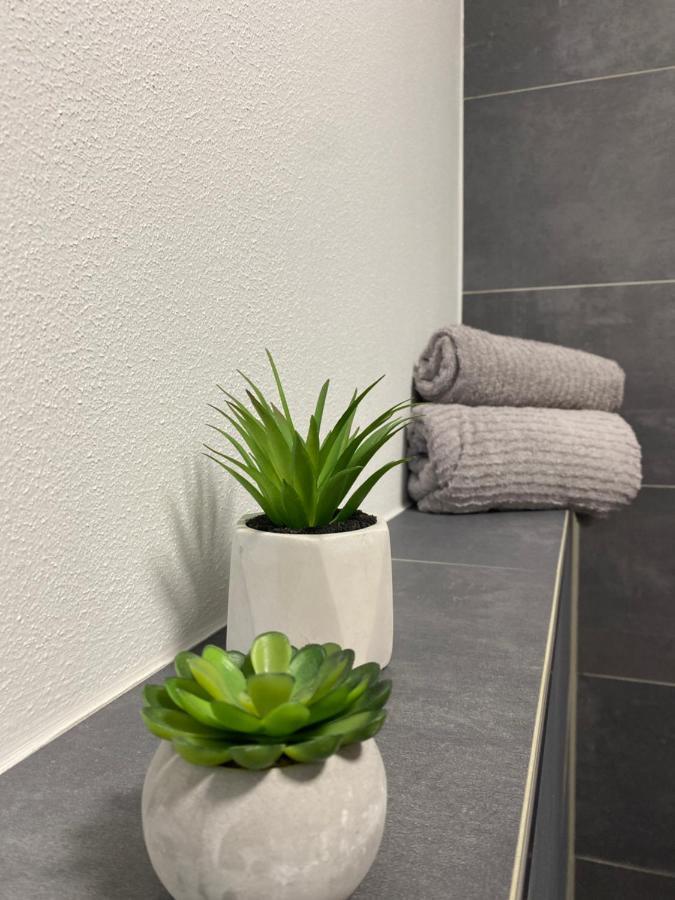 Wood II Appartement Bad Salzuflen Ngoại thất bức ảnh